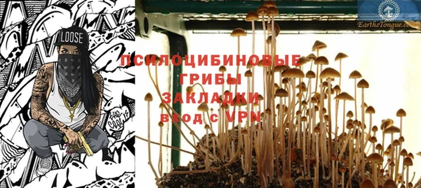 мдпв Богородицк