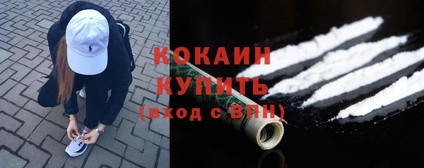 мдпв Богородицк
