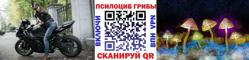 Галлюциногенные грибы мухоморы  где можно купить наркотик  Купино 